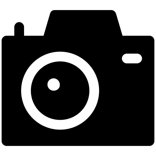 Camera 16252231